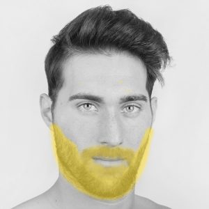Barba