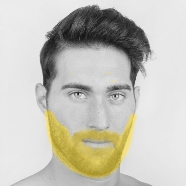 Barba