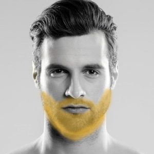 Barba